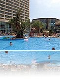 Hotel Flamingo Oasis Hotel Flamingo Oasis