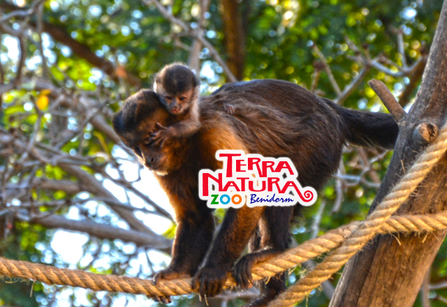 Stay + 1-day ticket to Terra Natura