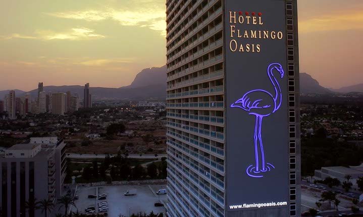 Hotel Flamingo Oasis
