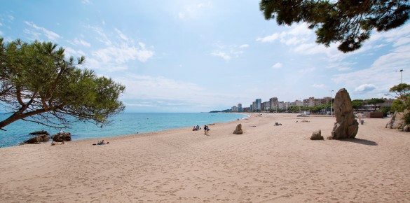 Discount 10% Hotel Monterrey - Platja d'Aro