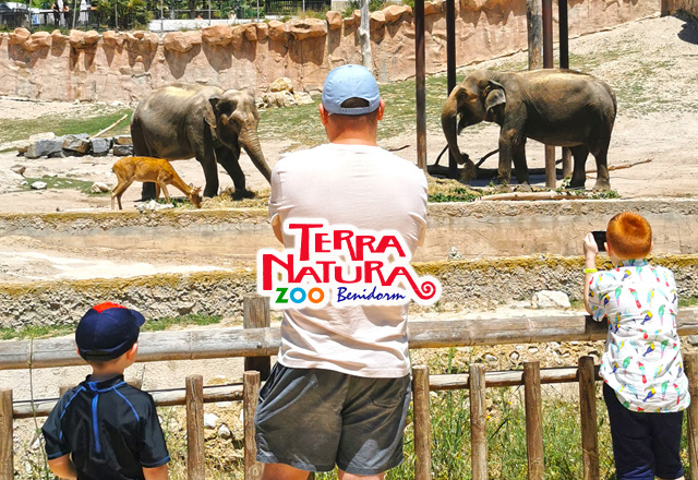 Stay + 1-day ticket to Terra Natura